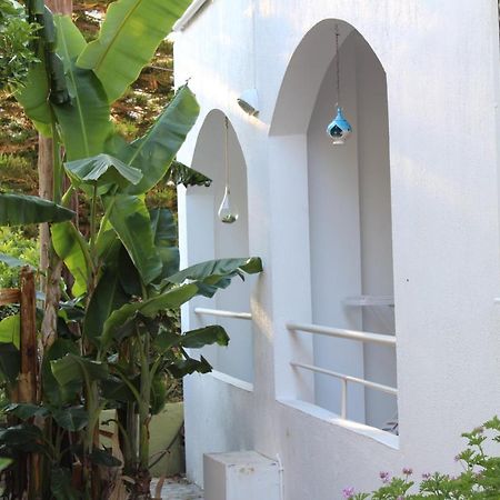 Carolina Apartments Crete Agia Pelagia  Exterior photo
