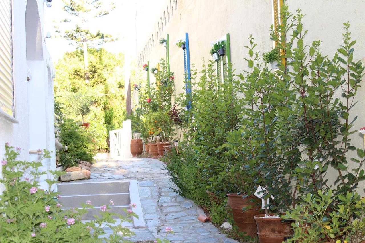 Carolina Apartments Crete Agia Pelagia  Exterior photo